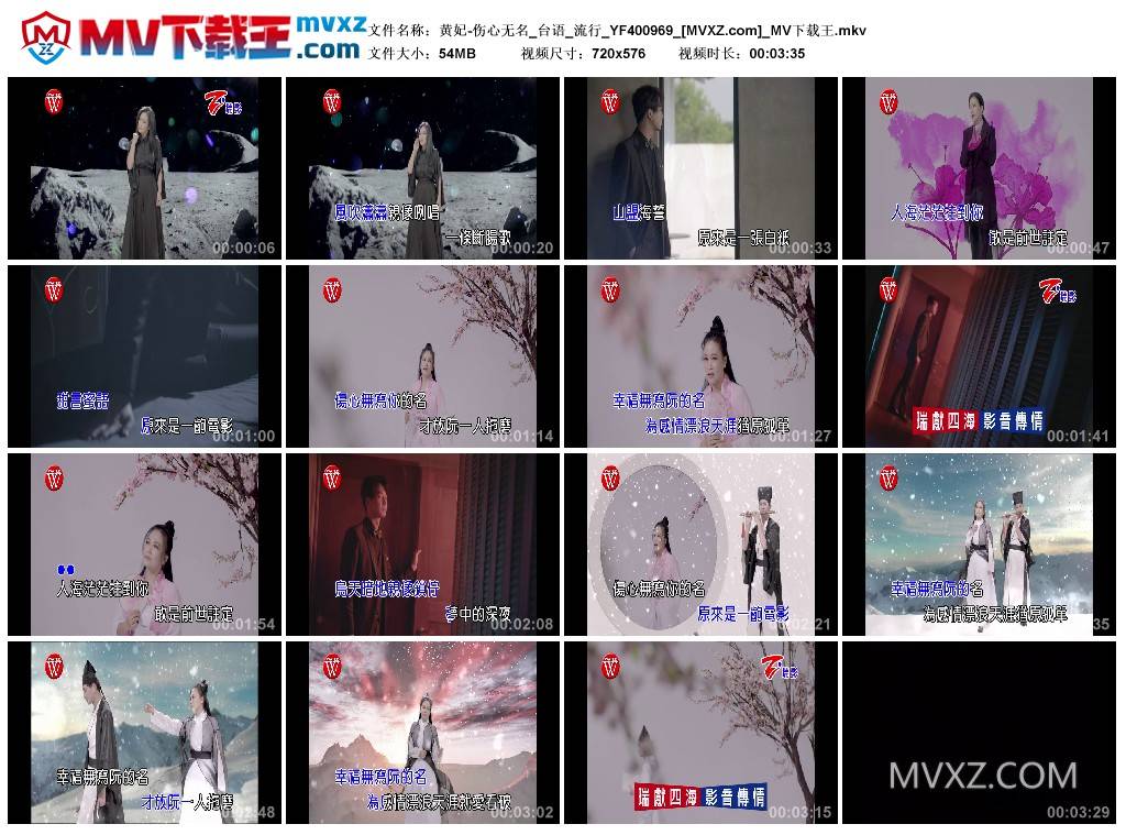 黄妃-伤心无名_台语_流行_YF400969